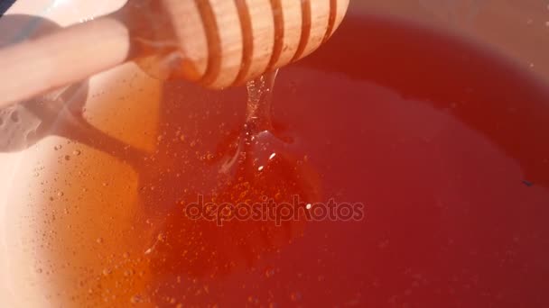 Honey Dipper.flowing Honey. — Stock Video