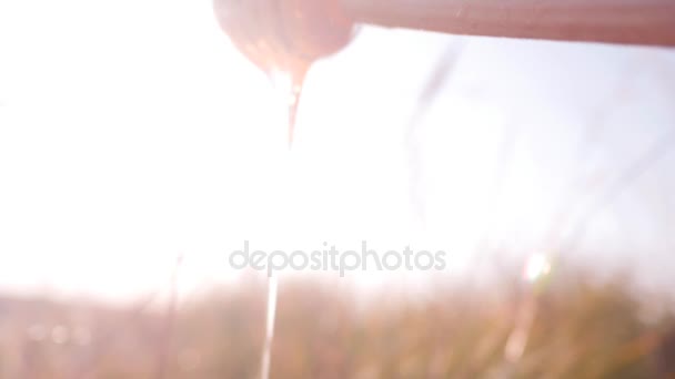 Honing Dipper.flowing honing — Stockvideo