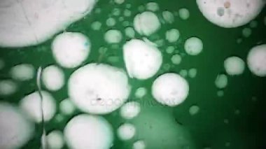 Mikroskobik görünümü mürekkep su