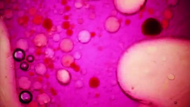 Vista microscópica de la tinta en el agua — Vídeos de Stock