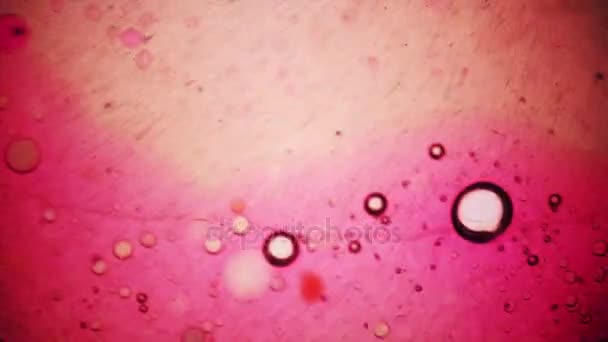 Obraz mikroskopowy Ink in Water — Wideo stockowe