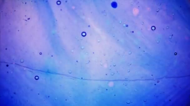 Μικροσκοπική προβολή της μελάνης σε νερό — Αρχείο Βίντεο