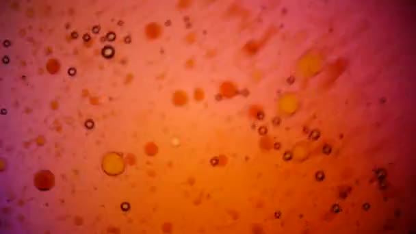 墨水在水中的微观角度 — 图库视频影像