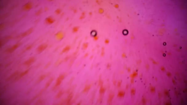 Microscopic View of Ink in Water — Stock Video