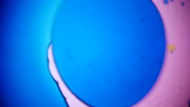 Mikroskopische Ansicht von Tinte im Wasser — Stockvideo