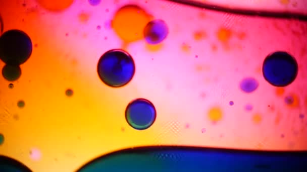 Vue microscopique de l'encre dans l'eau — Video