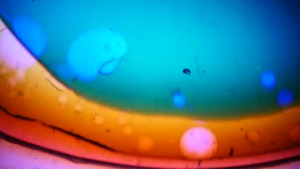 Ink-víz mikroszkopikus képe — Stock videók