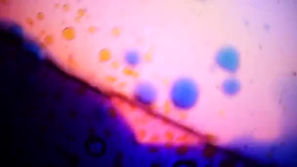 Mikroskobik görünümü mürekkep su — Stok video
