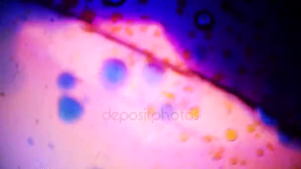 Vista microscopica dell'inchiostro in acqua — Video Stock