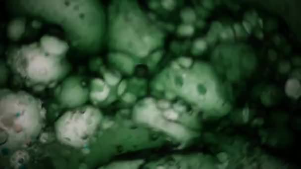 Microscopische weergave van inkt in Water — Stockvideo