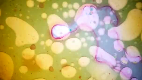 Μικροσκοπική προβολή της μελάνης σε νερό — Αρχείο Βίντεο