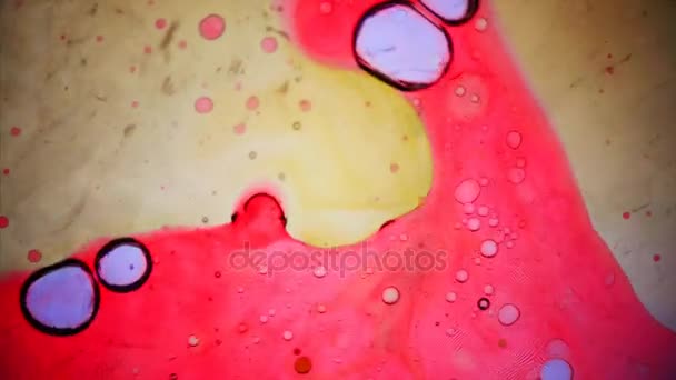 Obraz mikroskopowy Ink in Water — Wideo stockowe