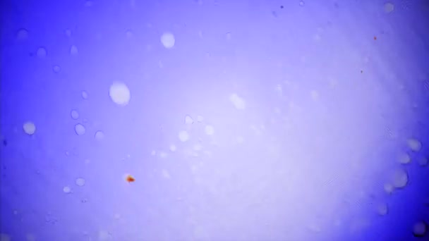墨水在水中的微观角度 — 图库视频影像
