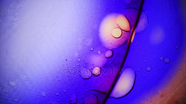 Obraz mikroskopowy Ink in Water — Wideo stockowe