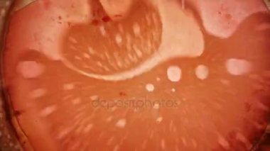 Mürekkep su soyut desenler