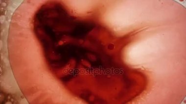 Mürekkep su soyut desenler