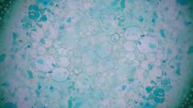 Mürekkep su soyut desenler