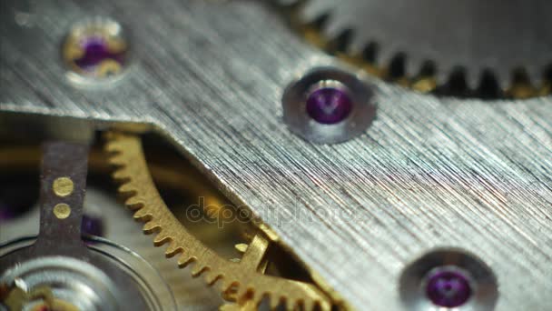 Watch Mechanism Close up — Stock Video