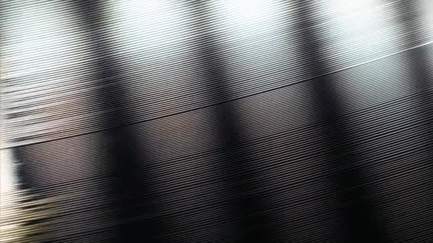 Vinyl Record tourne Fermer vers le haut 