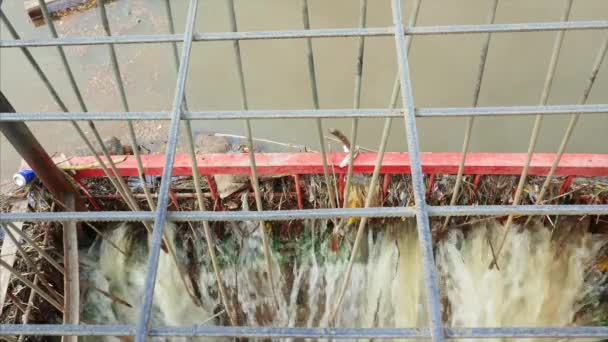 Spust wody kanalizacji ścieków w kąpieli olejowej — Wideo stockowe