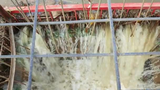 Drain d'eau d'égout dans le puisard — Video