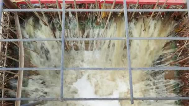 Spust wody kanalizacji ścieków w kąpieli olejowej — Wideo stockowe