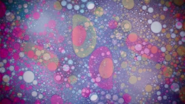 Kaléidoscope de couleurs 