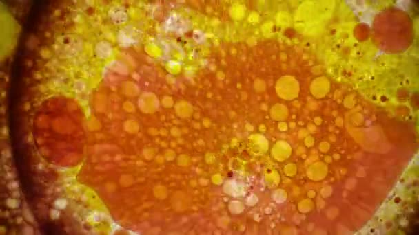 Kaleidoszkóp a színek — Stock videók