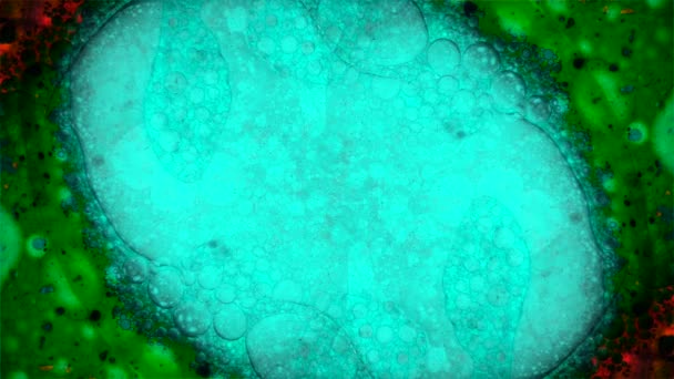 Kaléidoscope de couleurs 