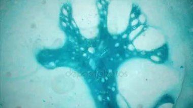 Mikroskobik görünümü mürekkep su