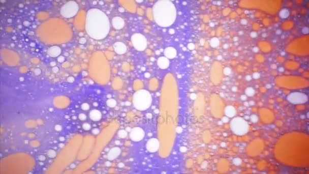 Vue microscopique de l'encre dans l'eau — Video