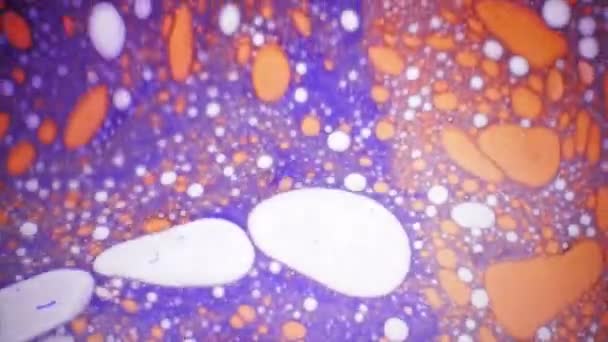 Vue microscopique de l'encre dans l'eau — Video