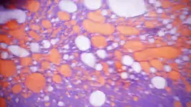 Vue microscopique de l'encre dans l'eau 