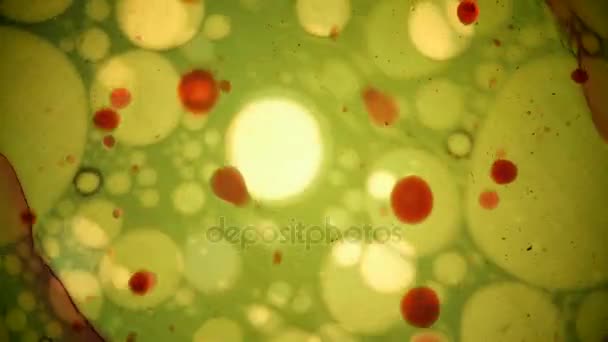 Vista microscópica de la tinta en el agua — Vídeos de Stock