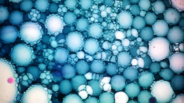 Mikroskopisk bild av bläck i vatten — Stockvideo