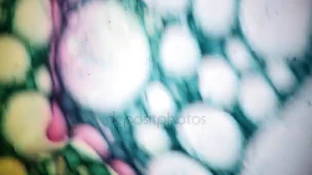 Vue microscopique de l'encre dans l'eau 