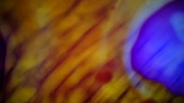 Mürekkep su soyut desenler