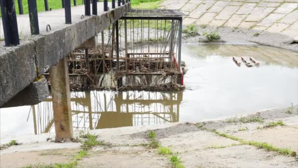 Modelli astratti di inchiostro in acqua — Video Stock