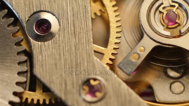 Watch Mechanism Close up — Stock Video