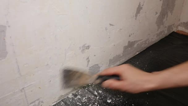 Εργαζόμενος αφαιρεί από τον τοίχο το παλαιό ασβεστοκονίαμα με μια σπάτουλα — Αρχείο Βίντεο