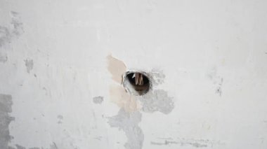 Çalışan bir Spatula ile duvar sıva uygulandığı