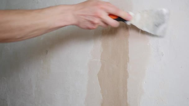 Çalışan bir Spatula ile duvar sıva uygulandığı — Stok video