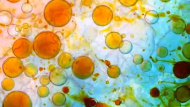 Harika desenler renkler ve boyalar