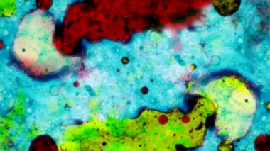 Harika desenler renkler ve boyalar