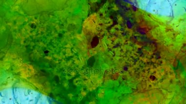 Harika desenler renkler ve boyalar