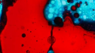 Harika desenler renkler ve boyalar