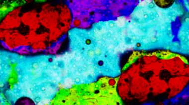 Harika desenler renkler ve boyalar