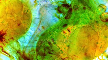 Harika desenler renkler ve boyalar