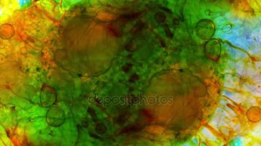 Harika desenler renkler ve boyalar