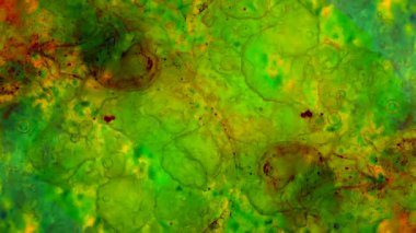 Harika desenler renkler ve boyalar